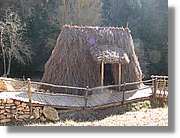 2_Moia_150.jpg