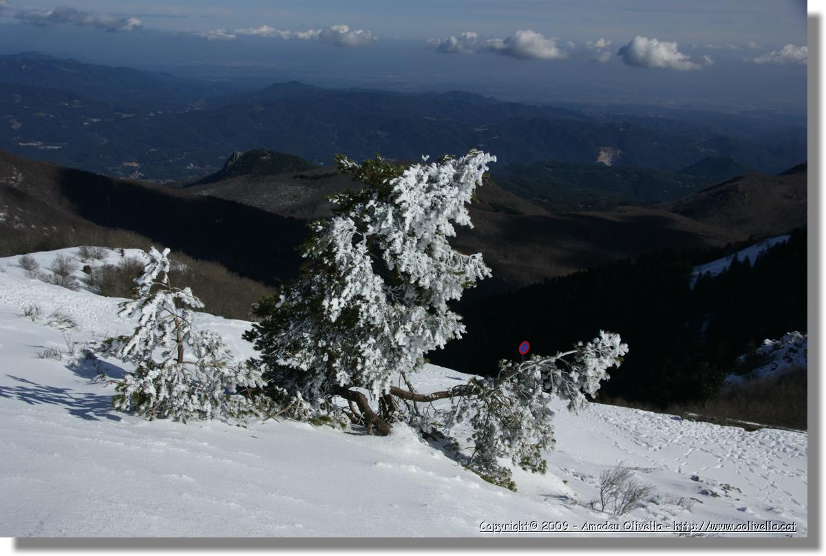 Montseny_049.jpg