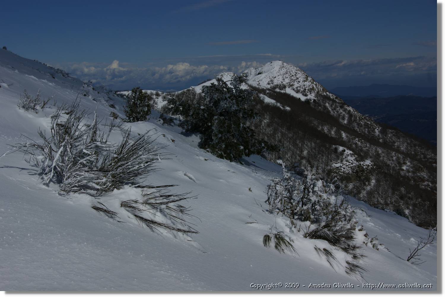 Montseny_052.jpg