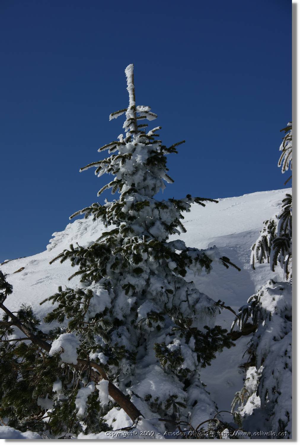Montseny_057.jpg