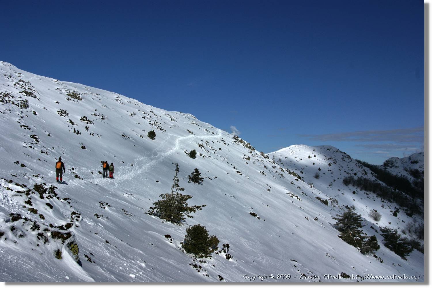 Montseny_077.jpg