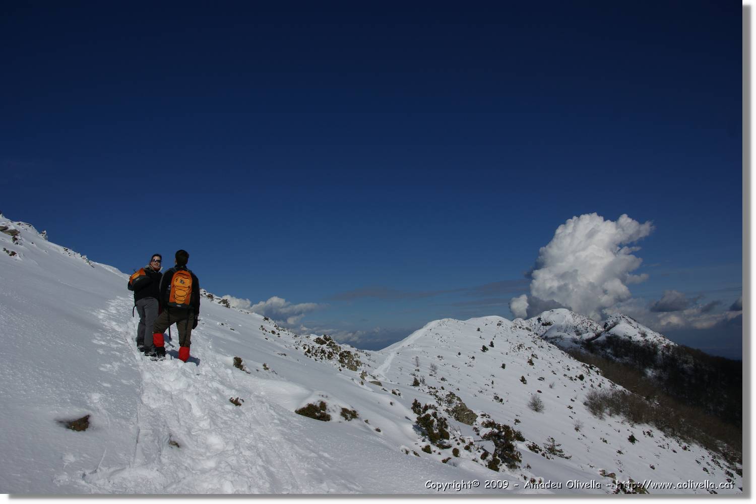 Montseny_079.jpg