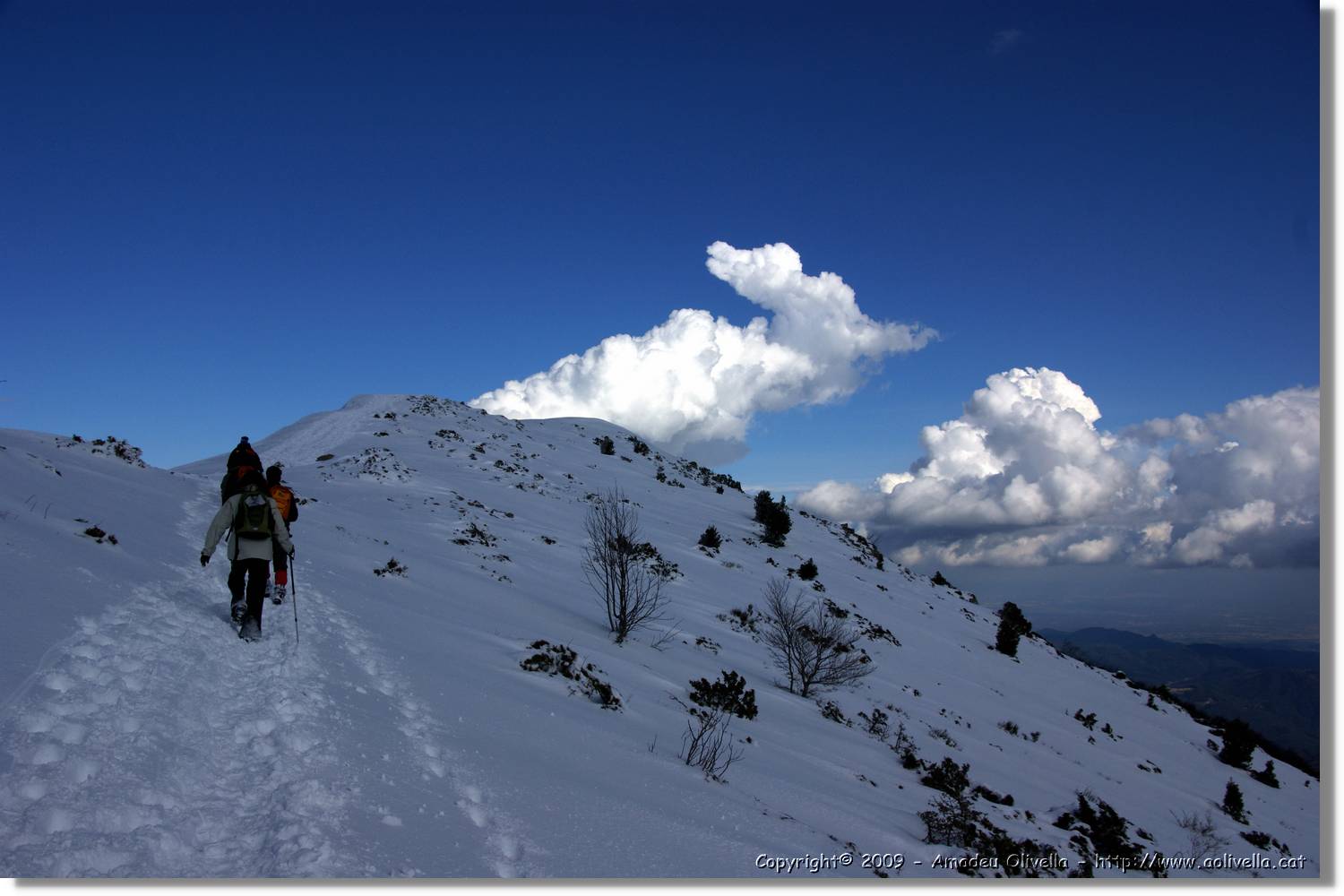 Montseny_085.jpg