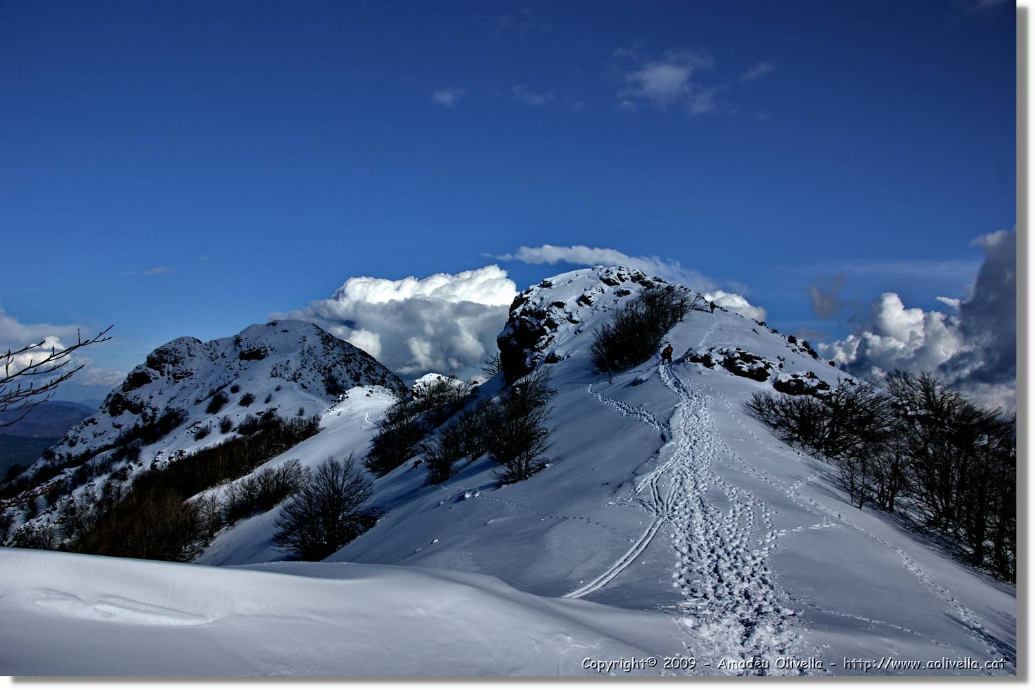 Montseny_097.jpg