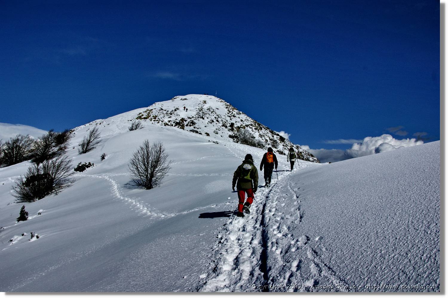 Montseny_102.jpg