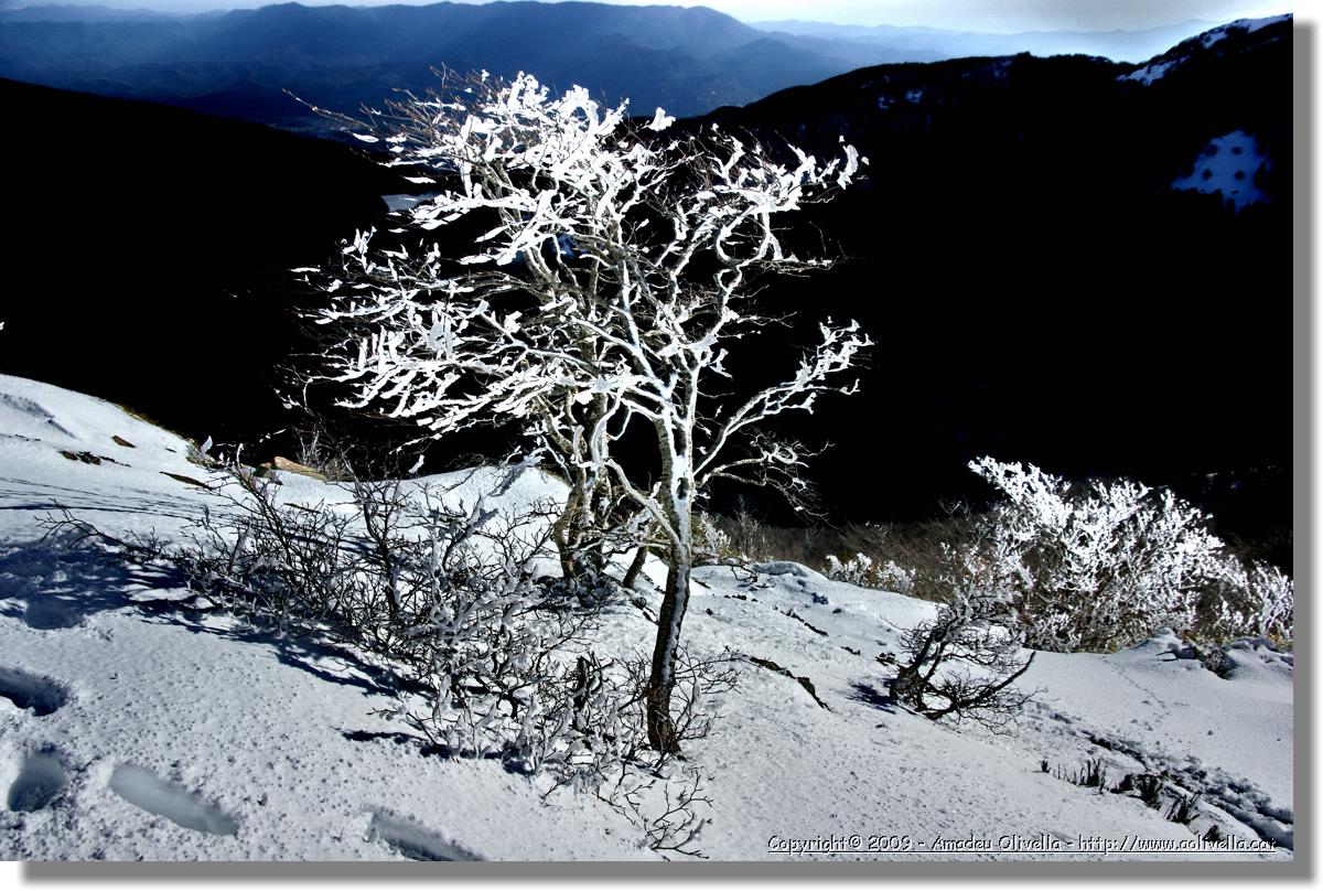 Montseny_106.jpg