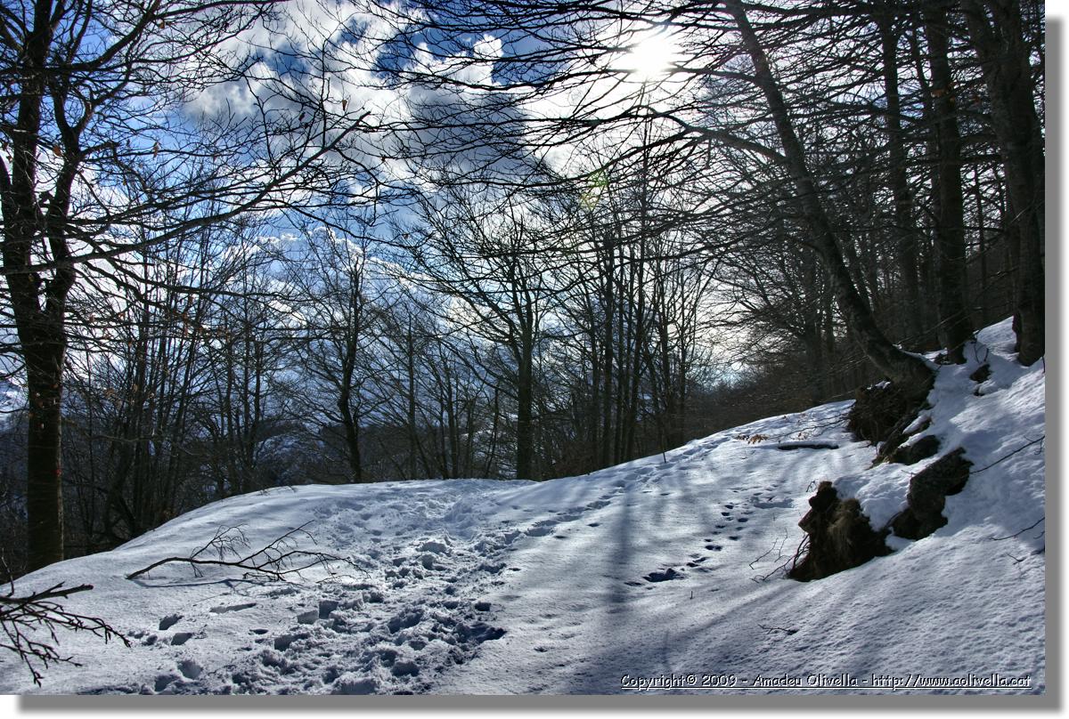 Montseny_129.jpg