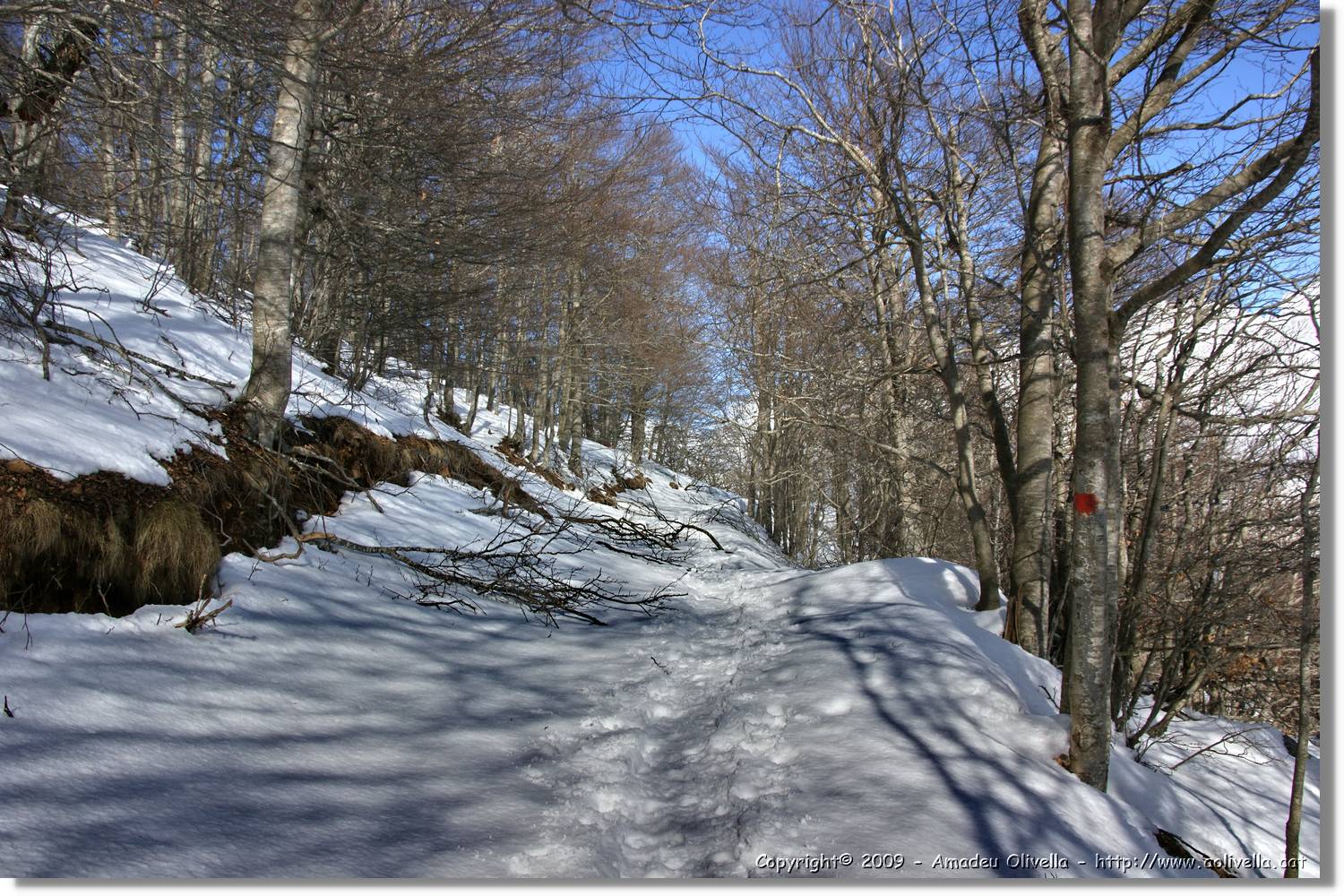 Montseny_130.jpg