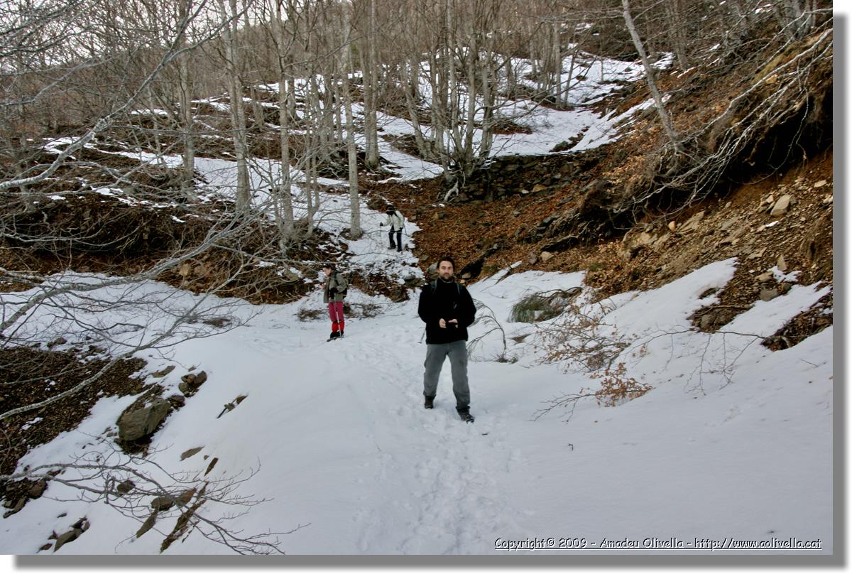 Montseny_144.jpg