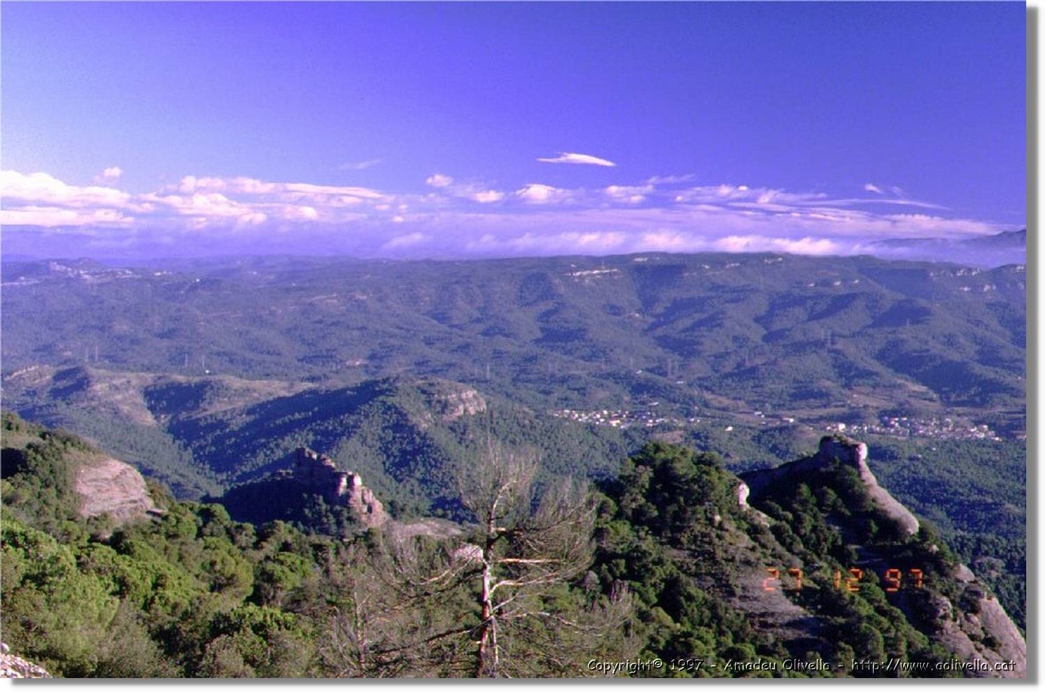 Parc_001.jpg