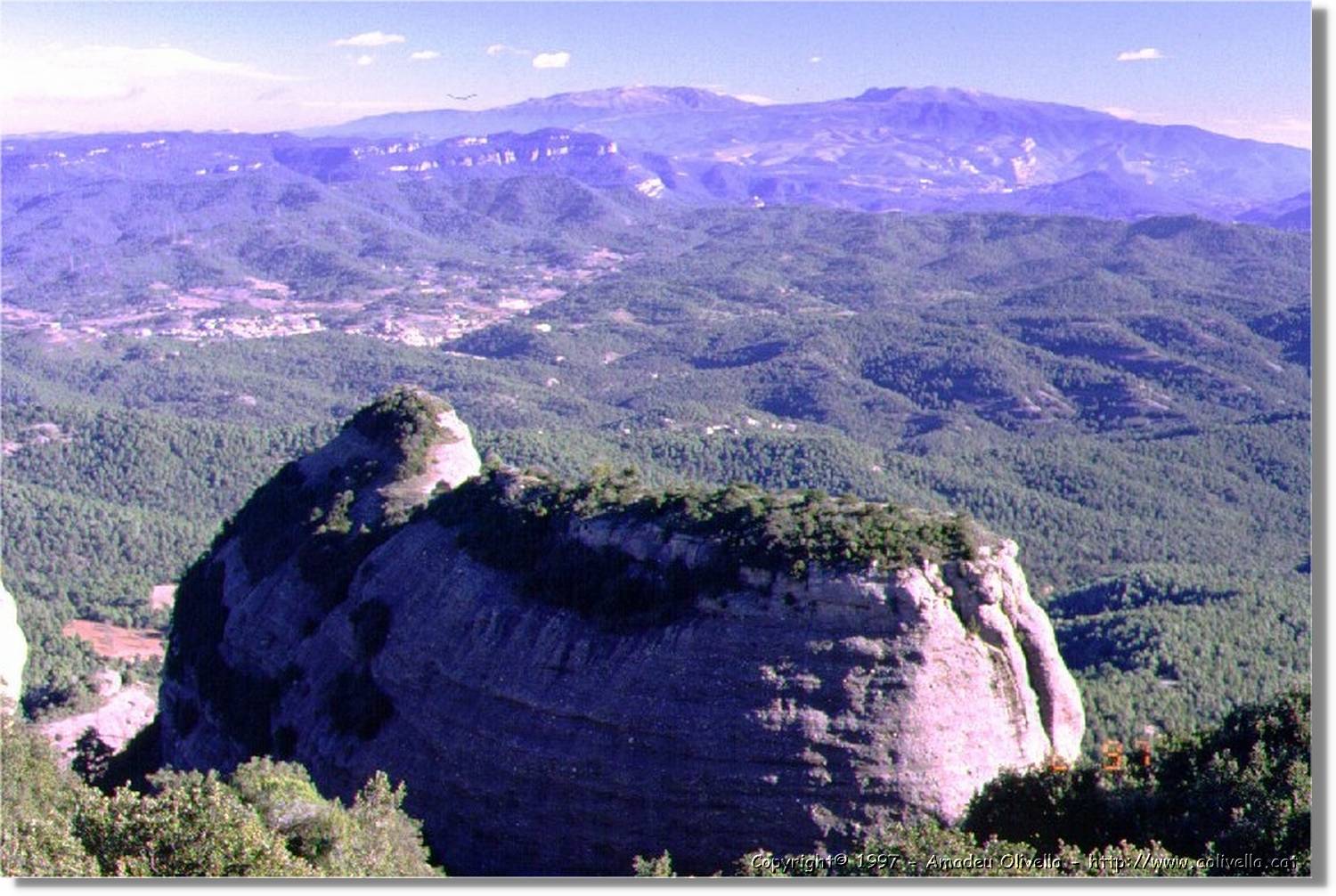 Parc_003.jpg