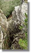 L'Agulla_037a.jpg