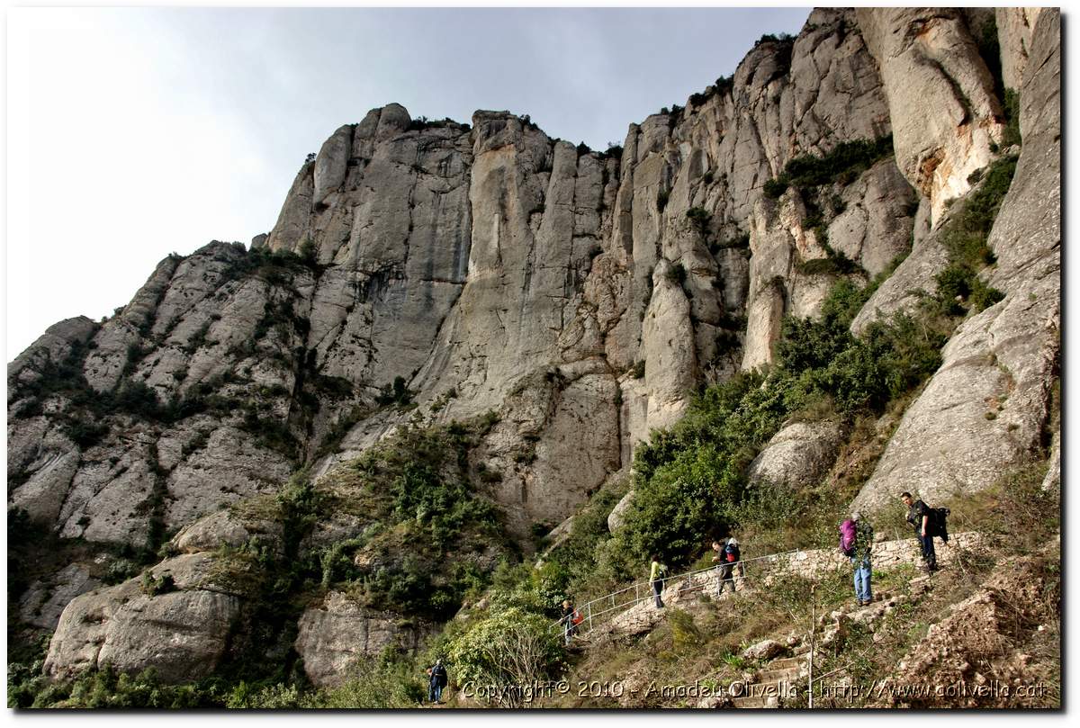 Montserrat_026.jpg