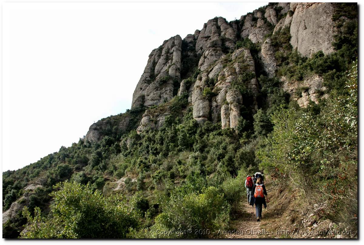 Montserrat_027.jpg