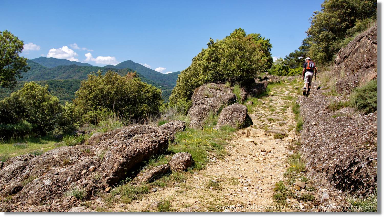 Capsacosta_010.jpg