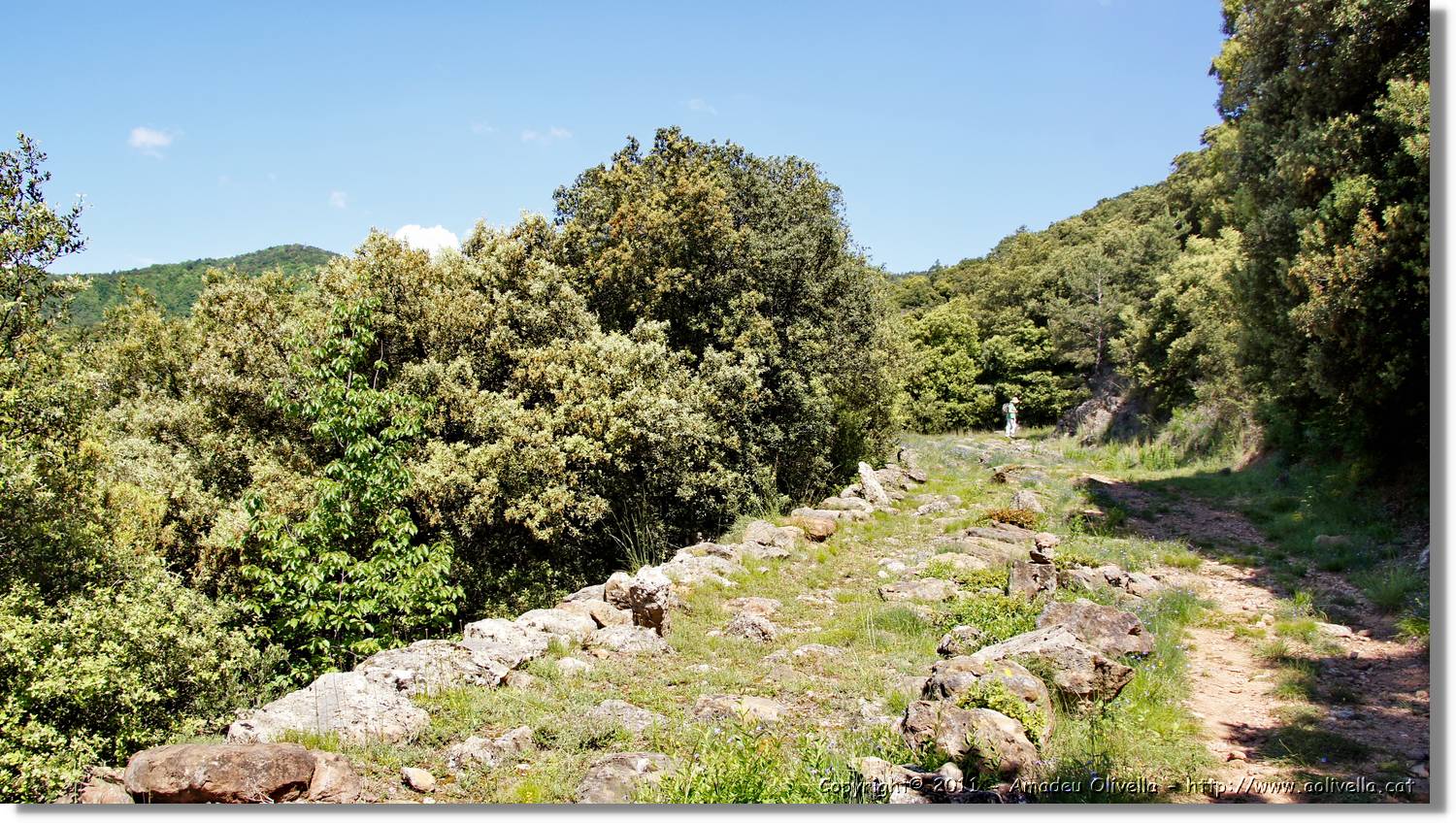 Capsacosta_020.jpg