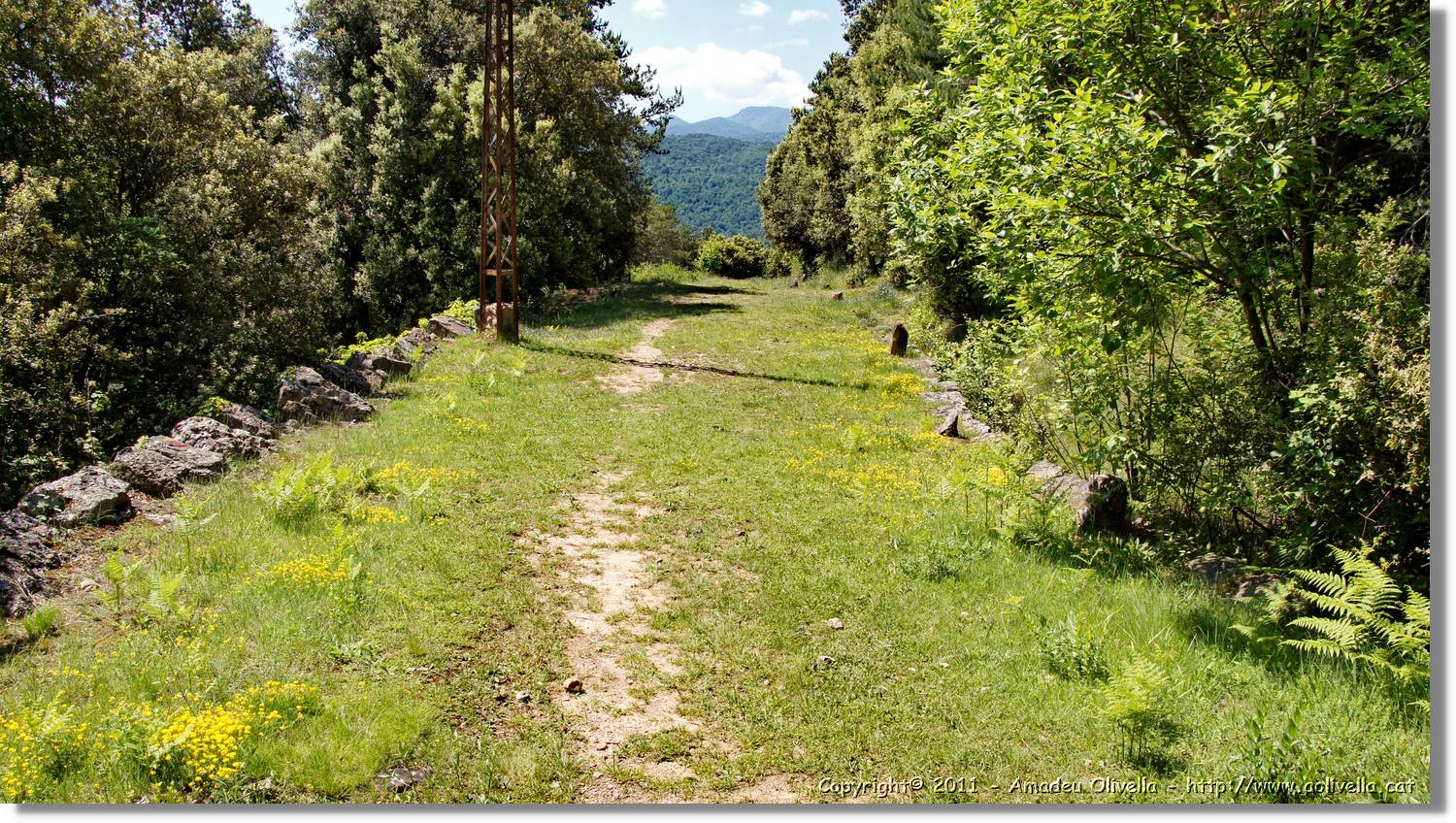 Capsacosta_025.jpg