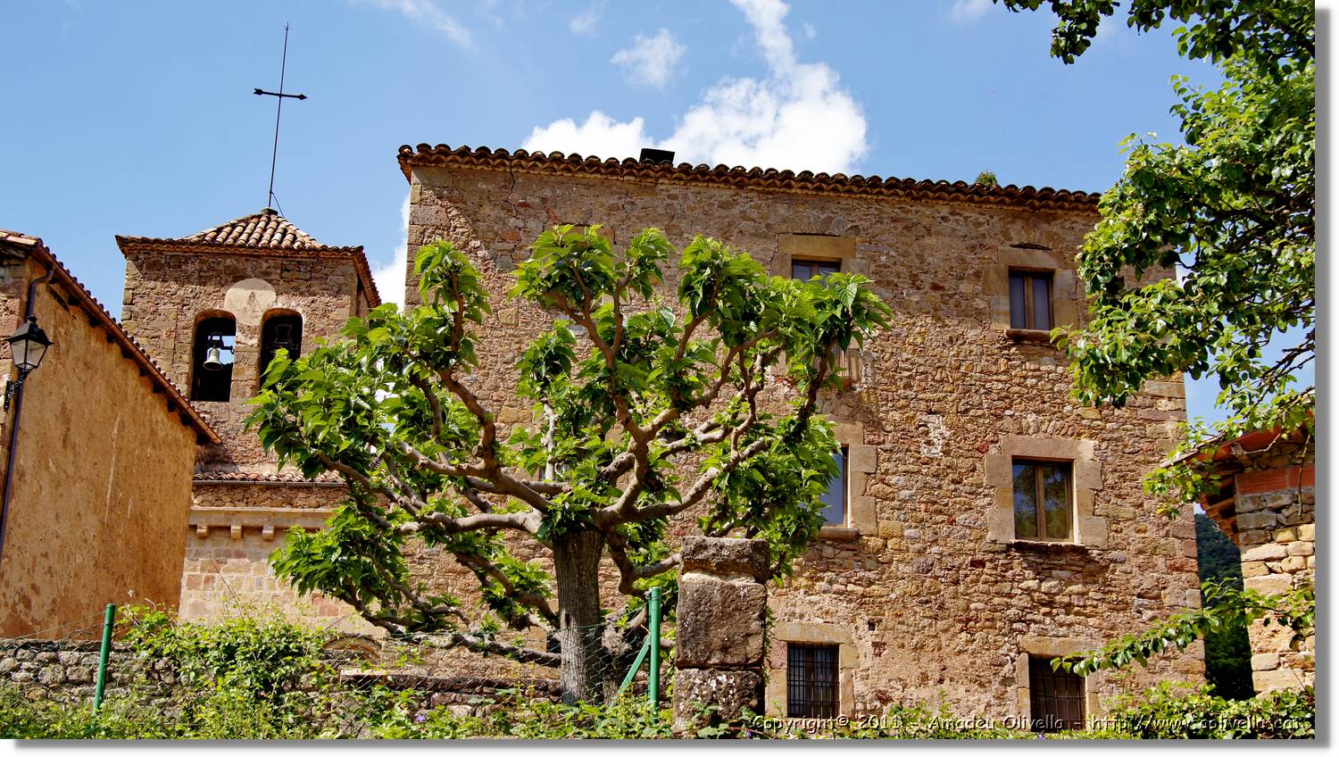 Capsacosta_149.jpg