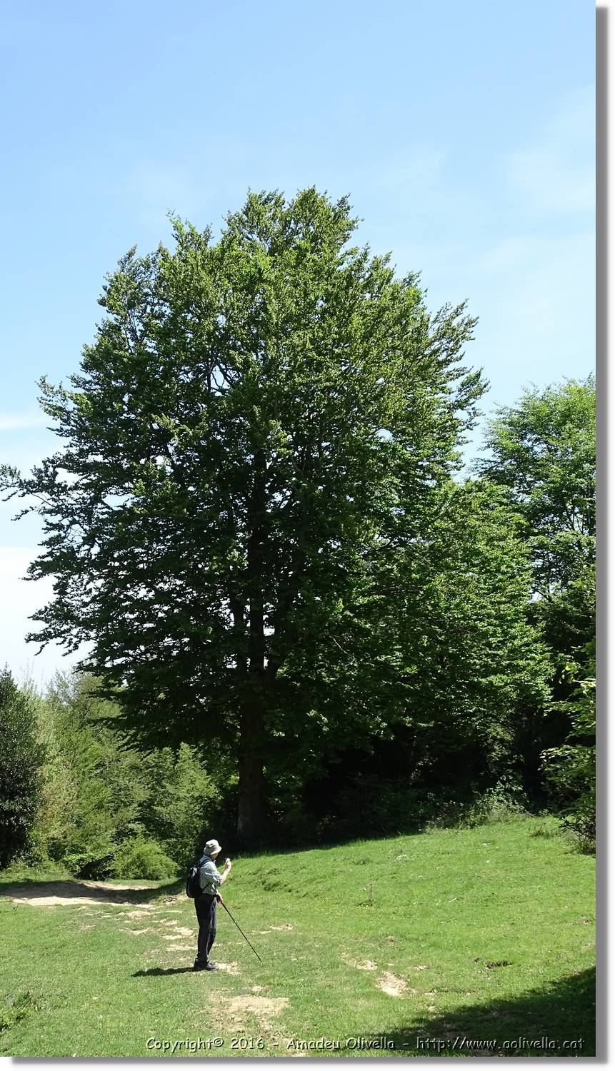Euga_012.jpg