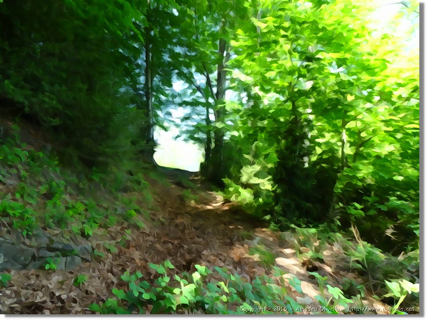 Euga_185.jpg