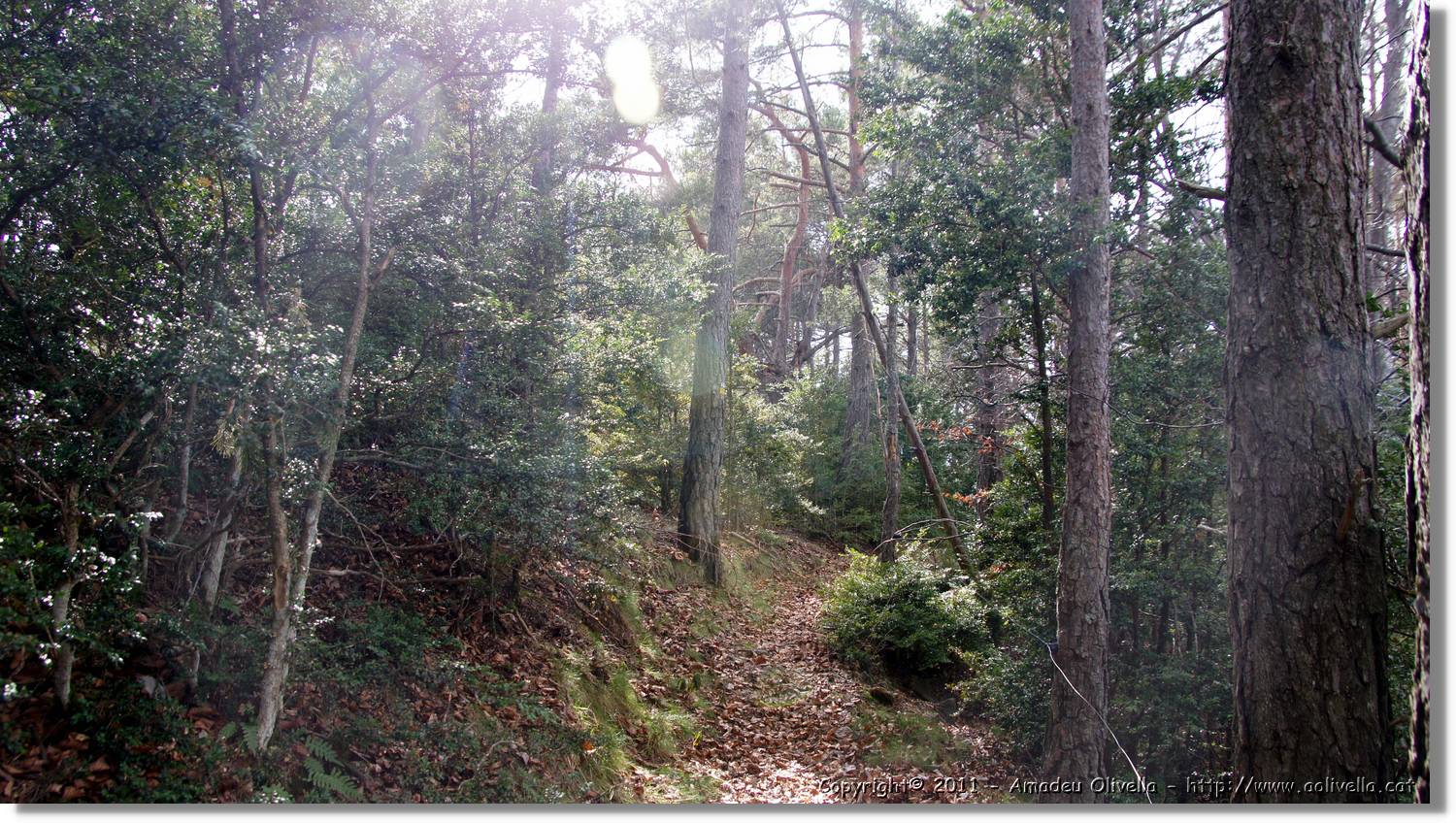Malanyeu_118.jpg