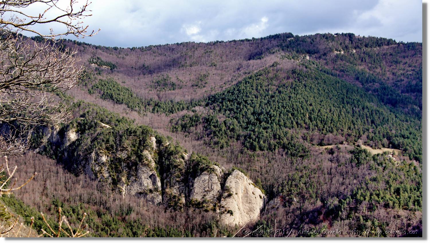 Malanyeu_126.jpg
