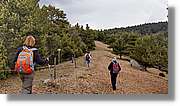 Malanyeu_110.jpg