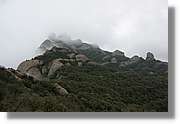 Montserrat_093.jpg(126 KB)