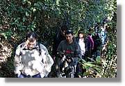 PamAPam_069.jpg(258 KB)