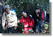 PamAPam_081.jpg(237 KB)