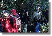 PamAPam_082.jpg(175 KB)