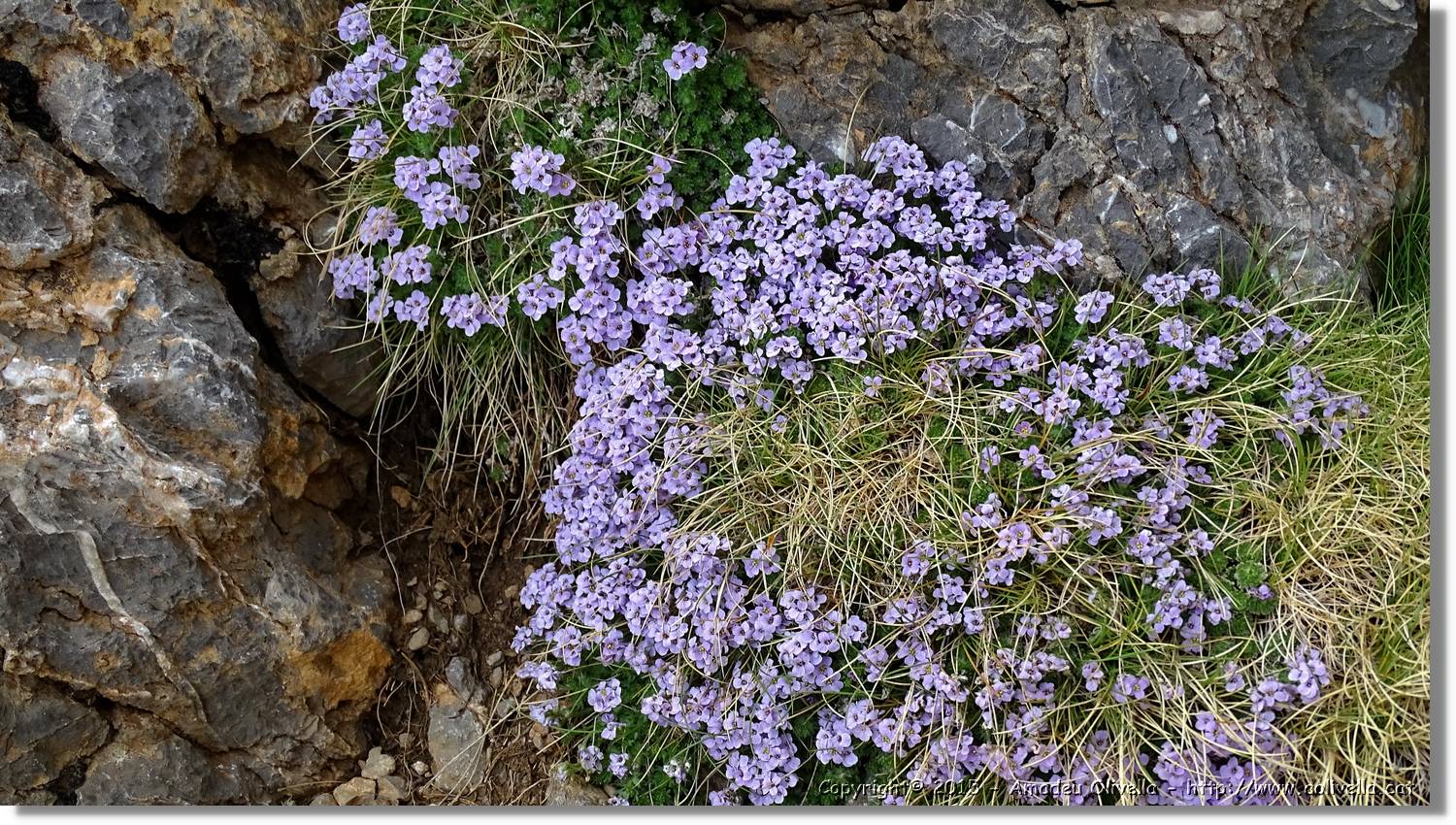 Pedraforca_063.jpg