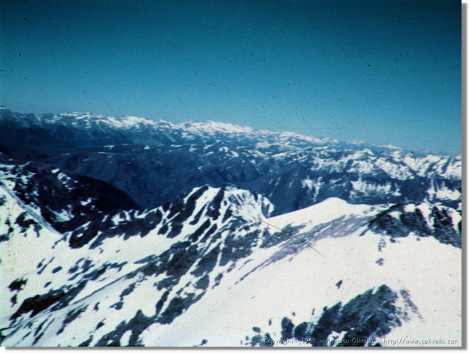 Pica_30.jpg