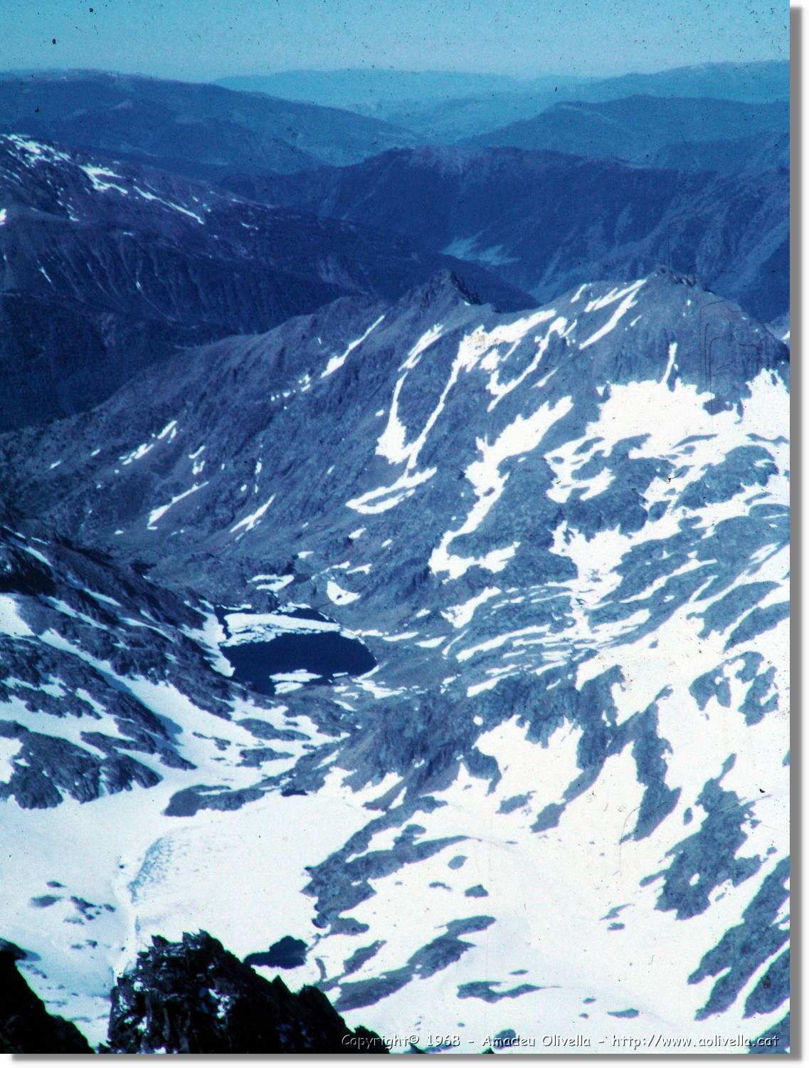 Pica_31.jpg