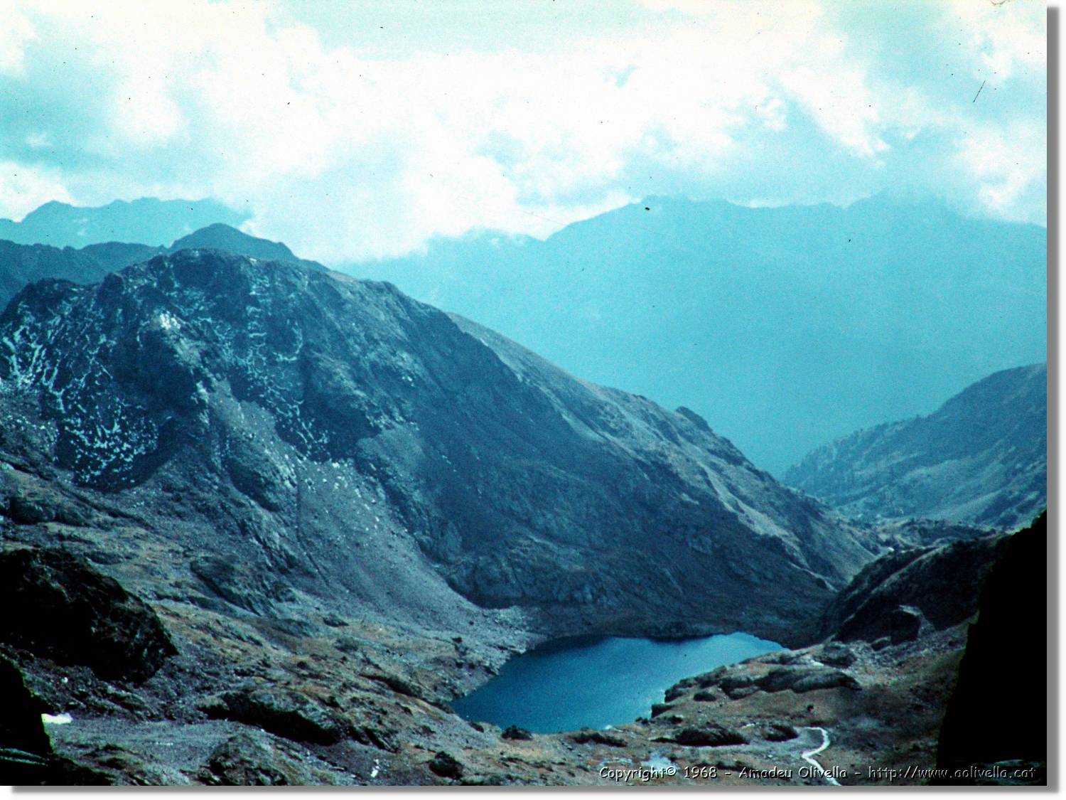 Pica_44.jpg