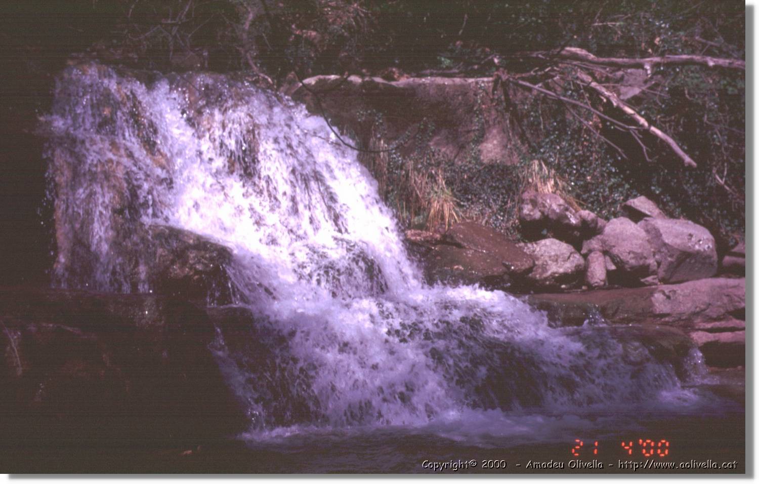Garrotxa_014.jpg