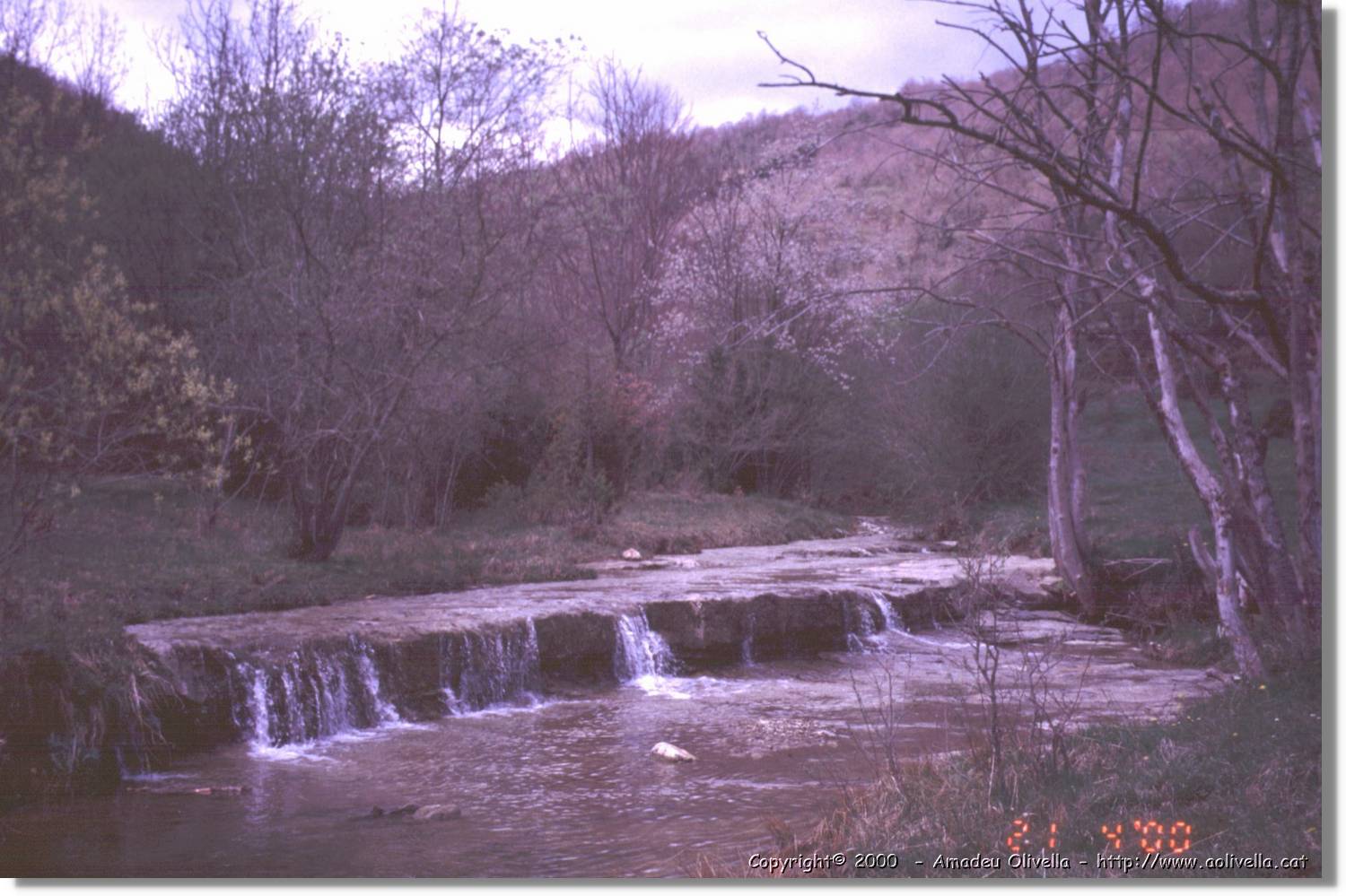 Garrotxa_021.jpg