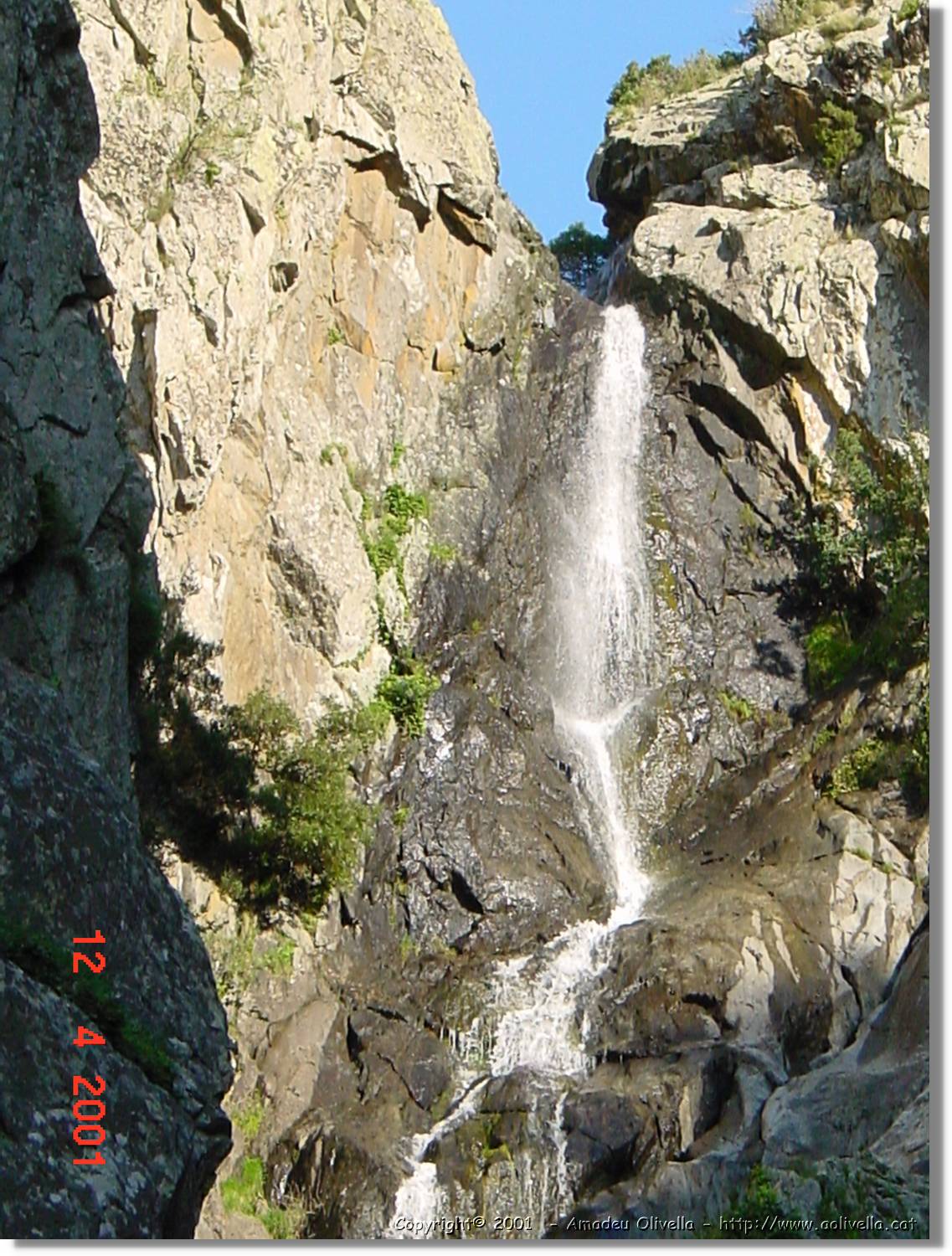 Albera_026.jpg