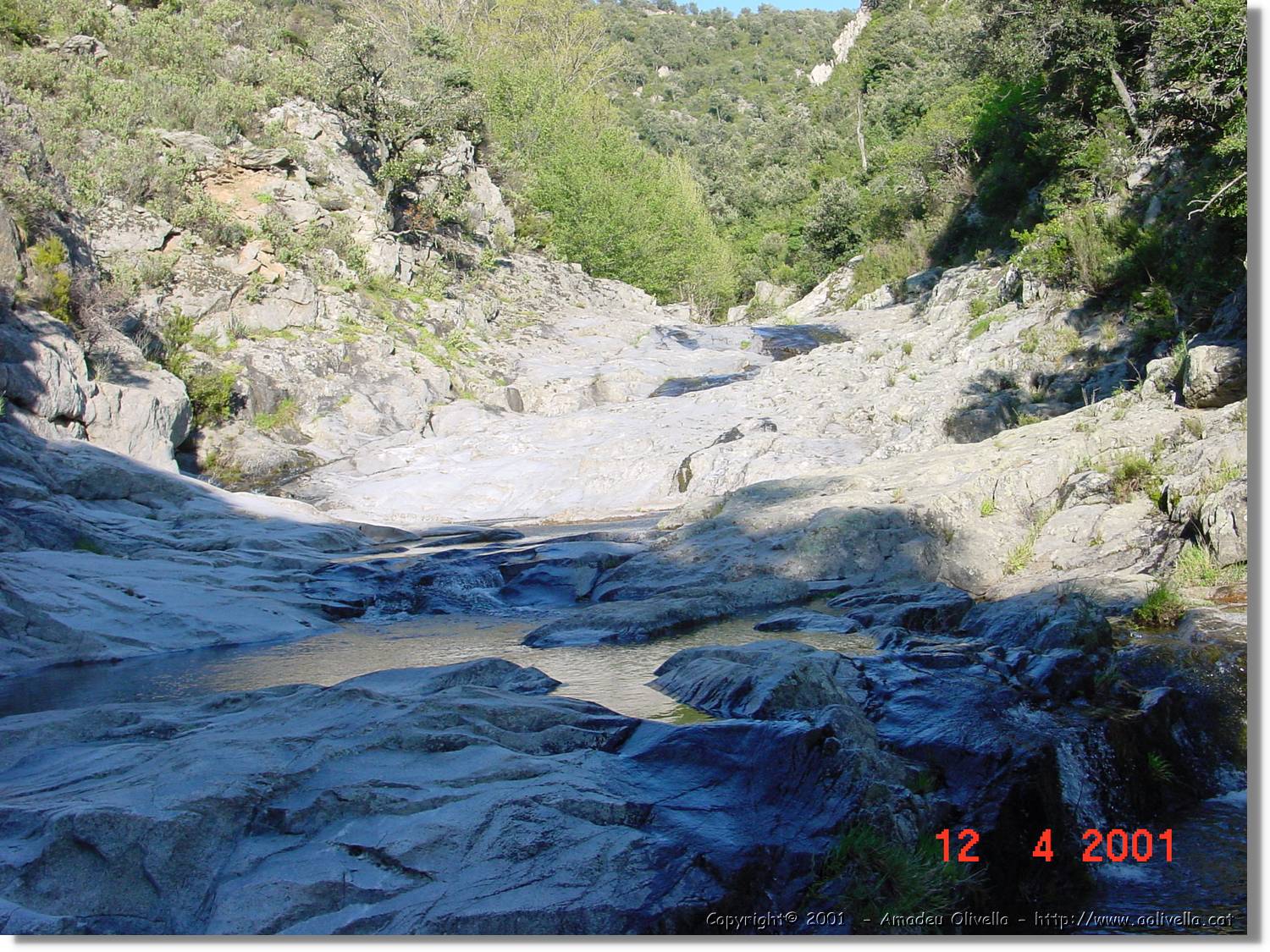 Albera_032.jpg