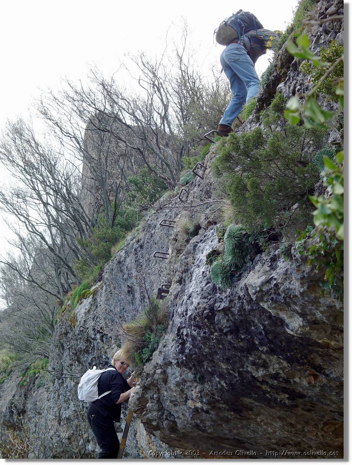Guara_008.jpg