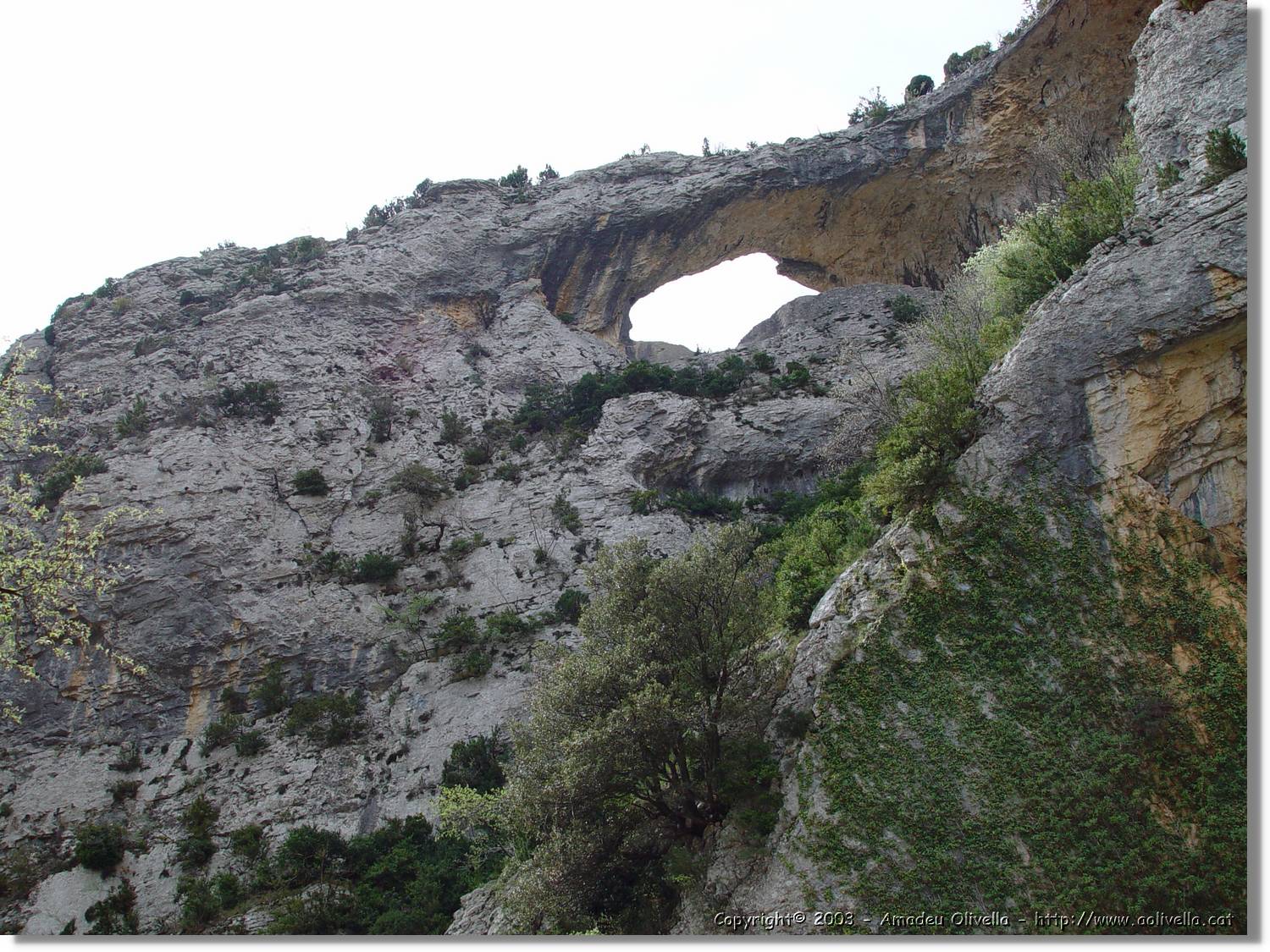Guara_068.jpg