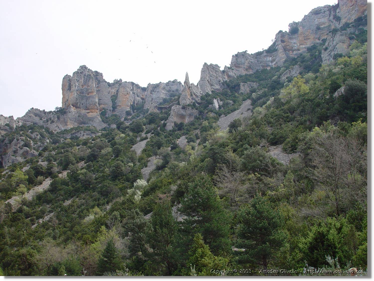 Guara_080.jpg