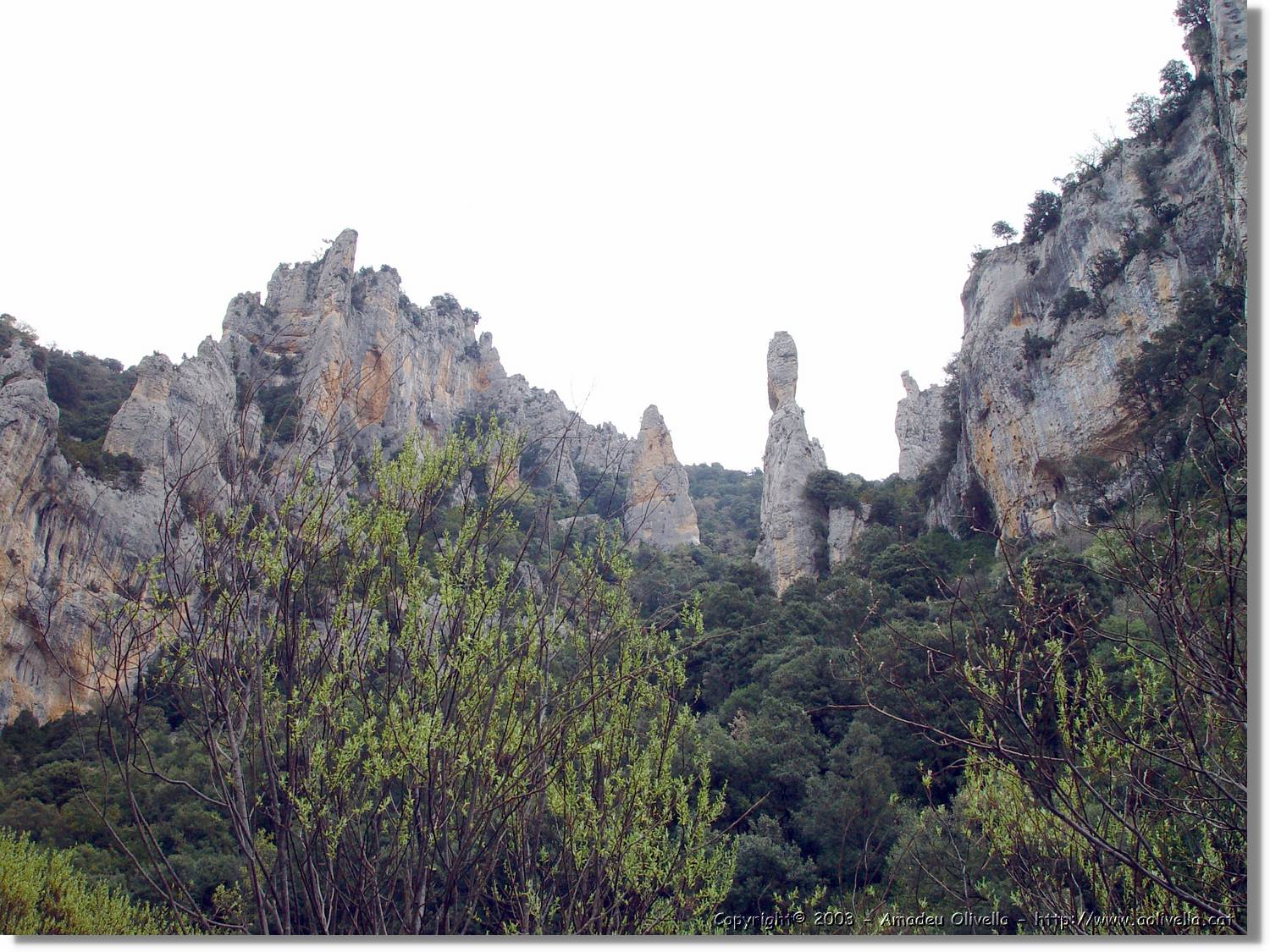 Guara_091.jpg