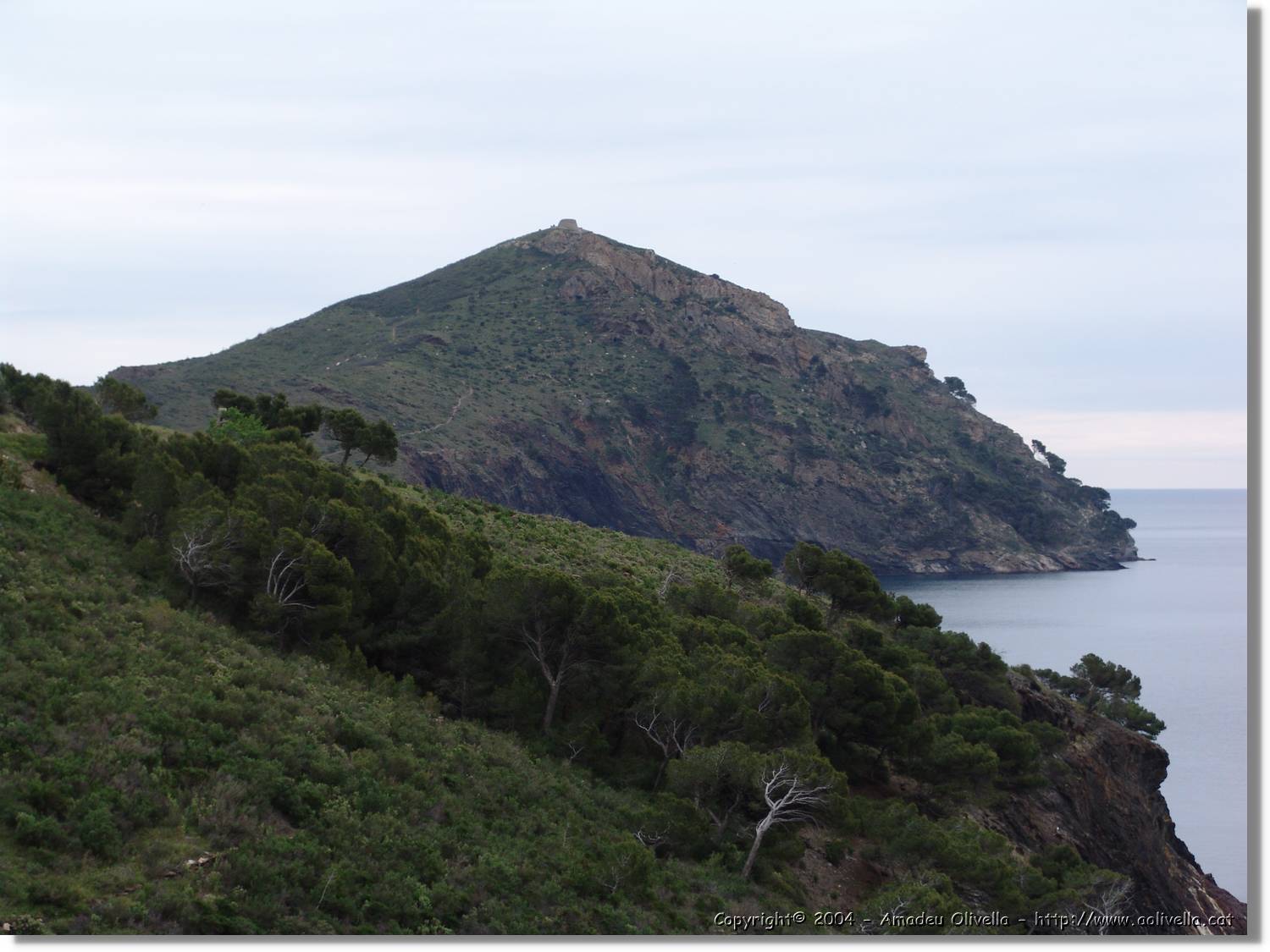 Norfeu_008.jpg