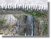 05_Anisclo_119.jpg(345 KB)