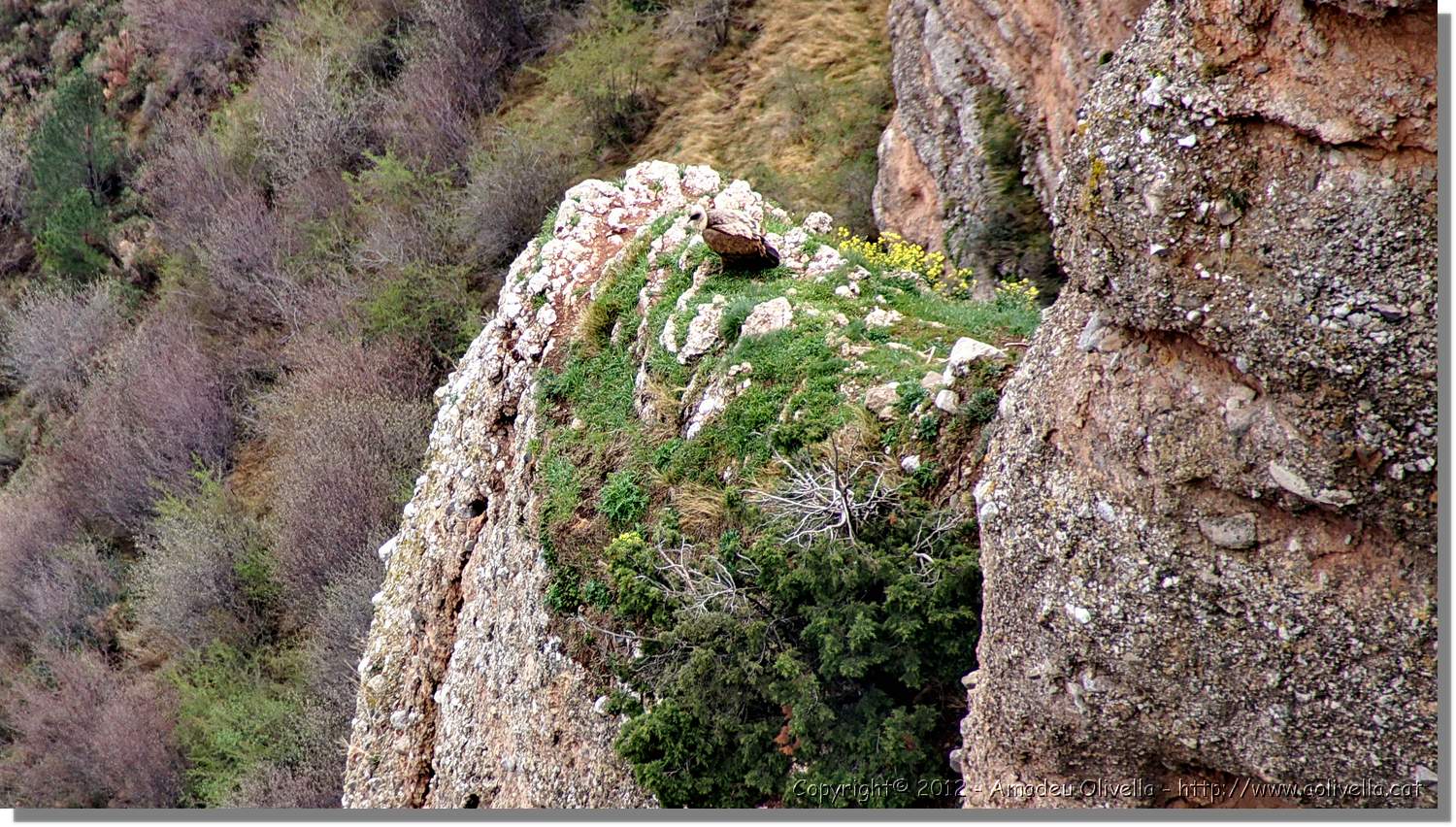 Bajenza_040.jpg