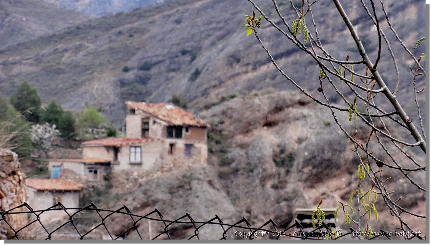 Viguera_02.jpg