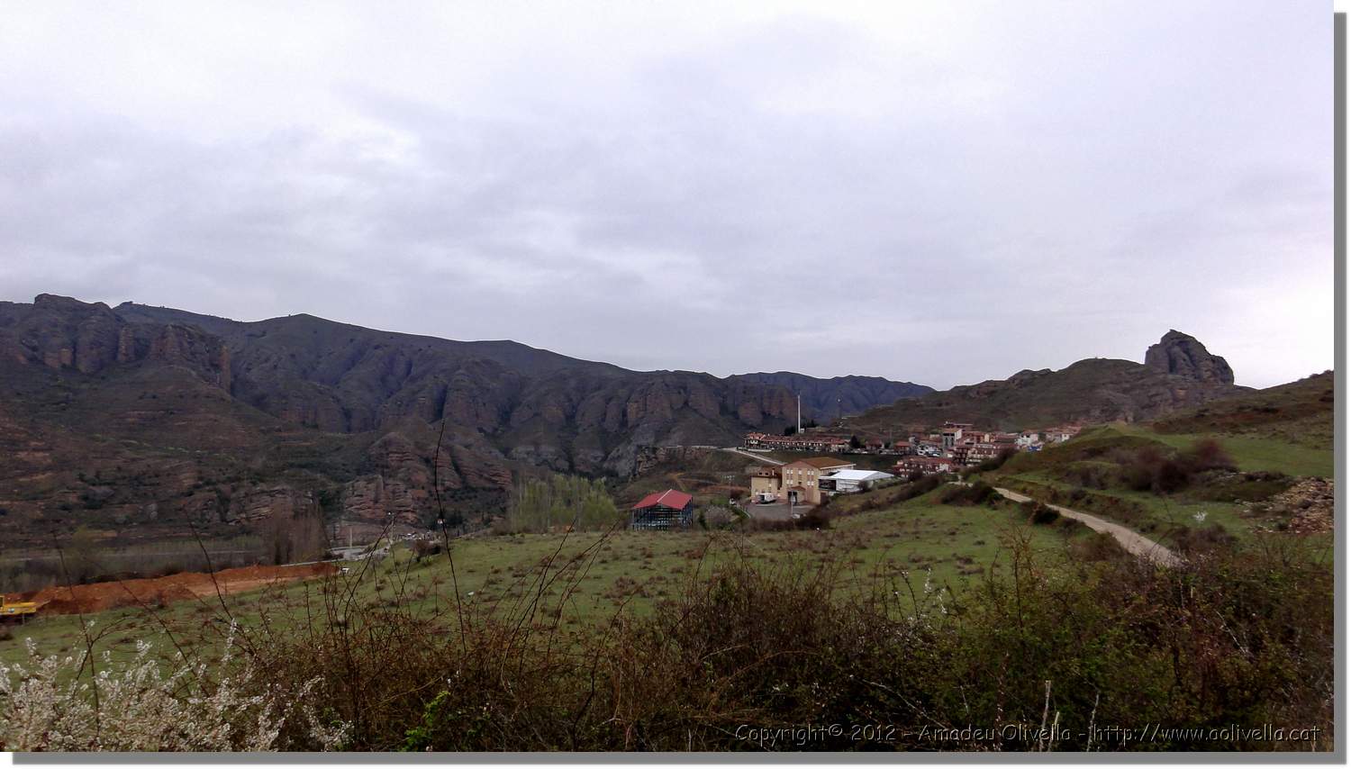 Viguera_07.jpg