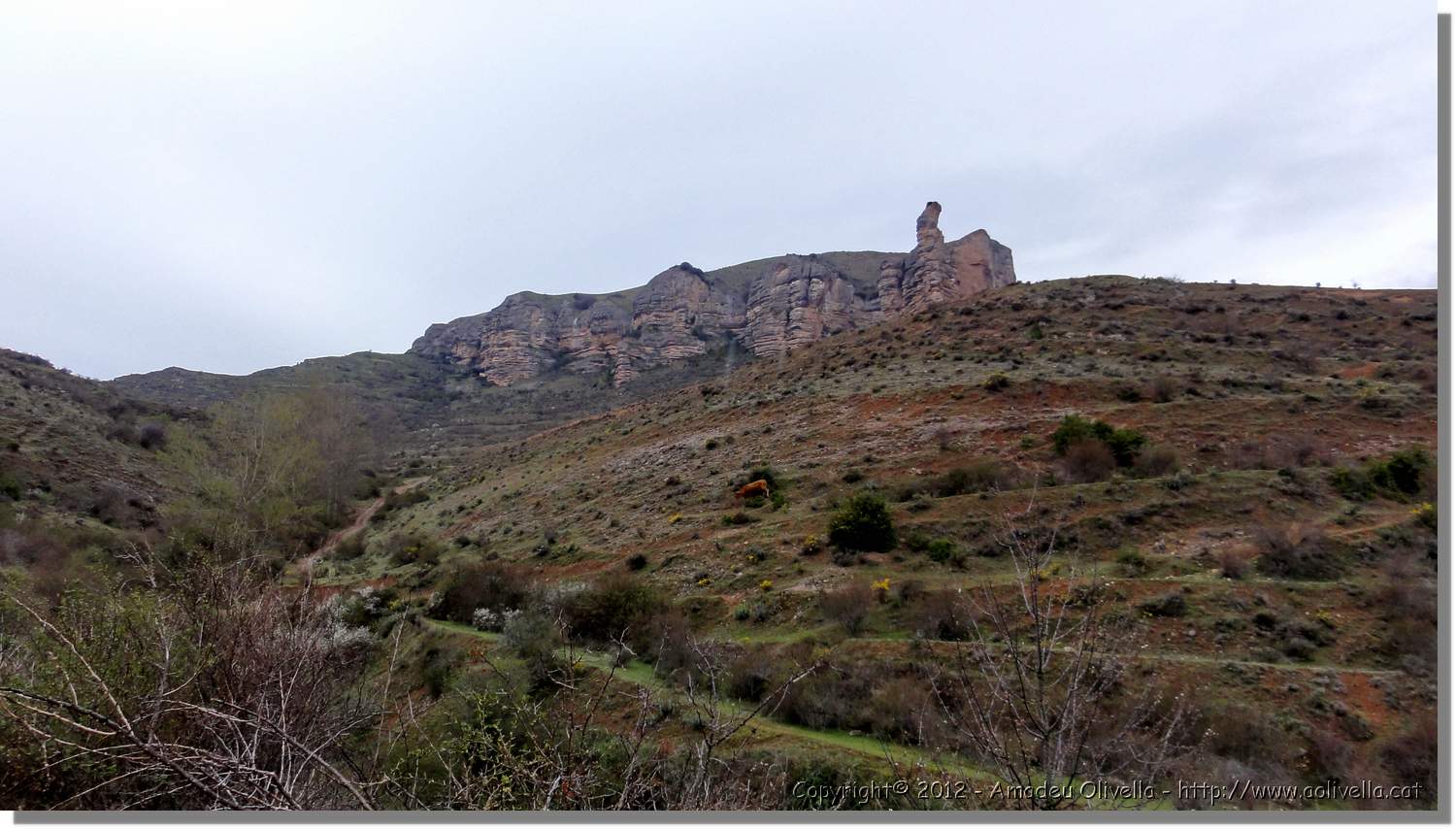 Viguera_10.jpg