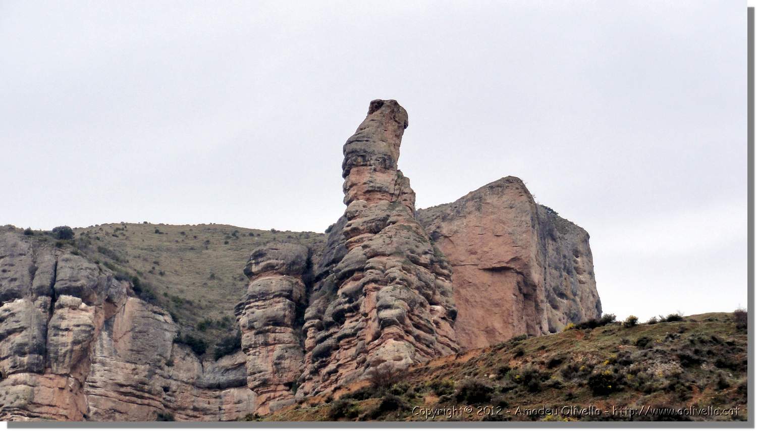 Viguera_11.jpg